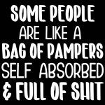 Some People Are Like Pampers Sarcastic Metal Photo S-814