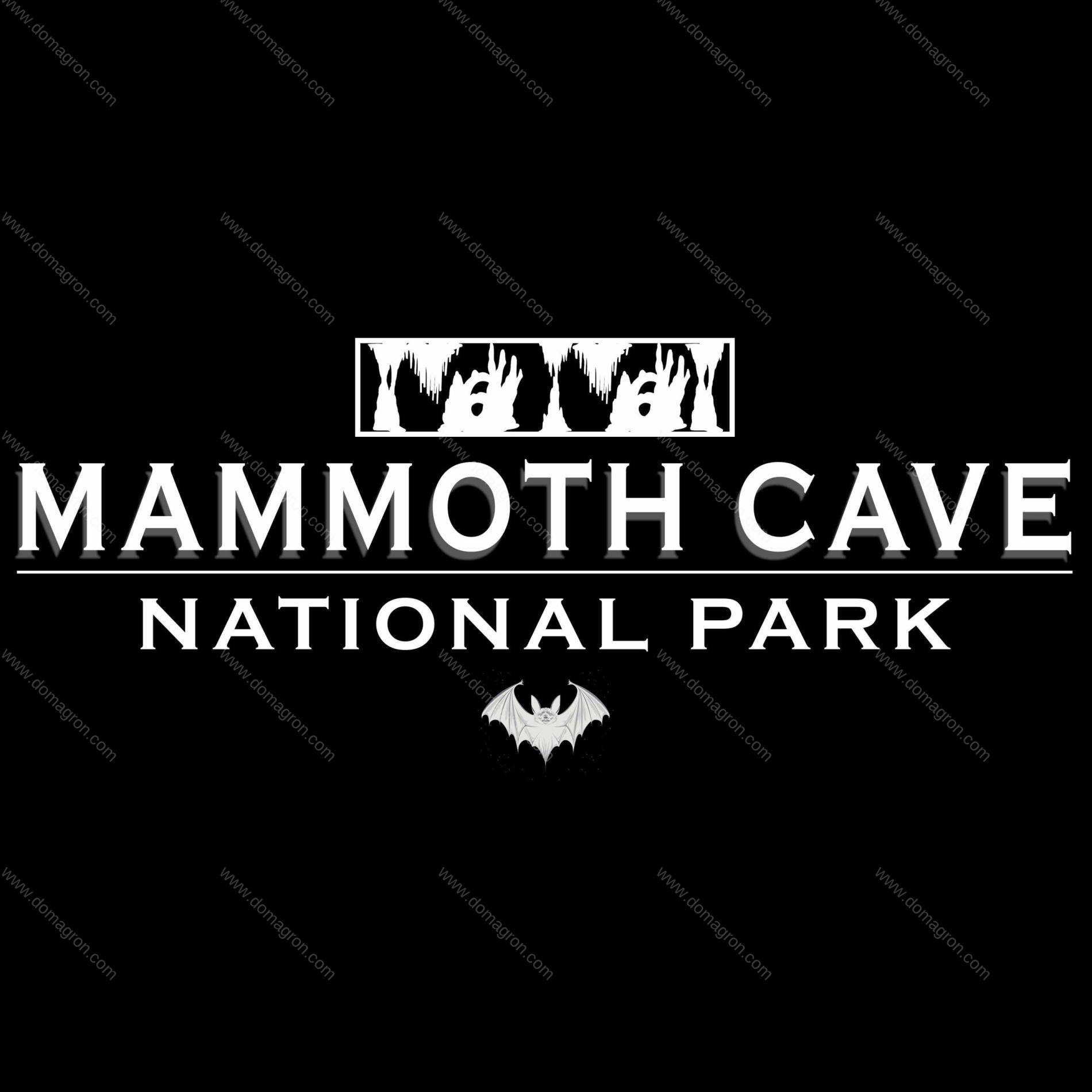 Mammoth Cave National Park Direct to Film (DTF) Heat Transfer K-853