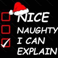 Nice, Naughty, I Can Explain Sarcastic Christmas Direct to Film (DTF) Heat Transfer S-852