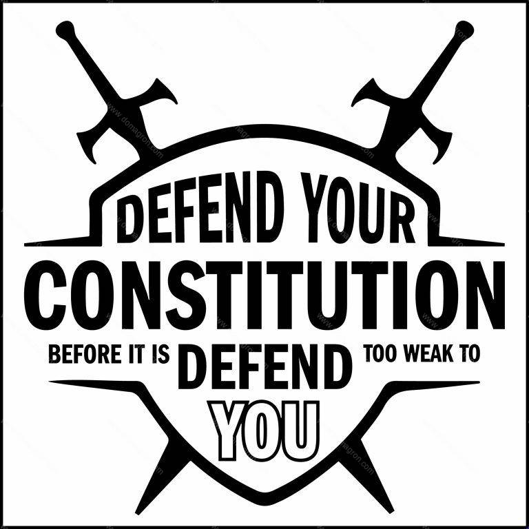 Defend Your Constitution Before It's Too Weak To Defend You Patriotic Direct to Film (DTF) Heat Transfer U-857