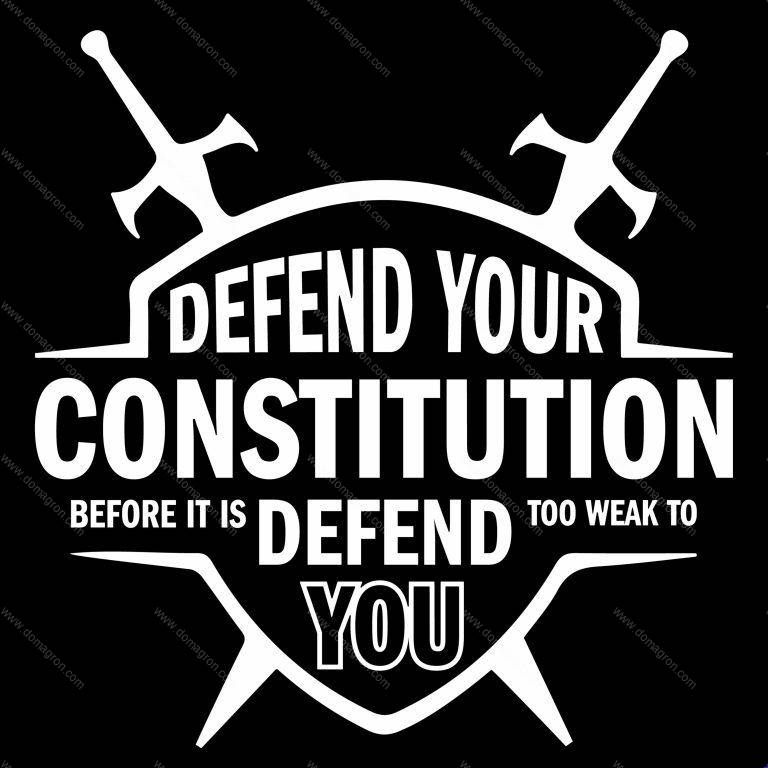 Defend Your Constitution Before It's Too Weak To Defend You Patriotic Direct to Film (DTF) Heat Transfer U-857