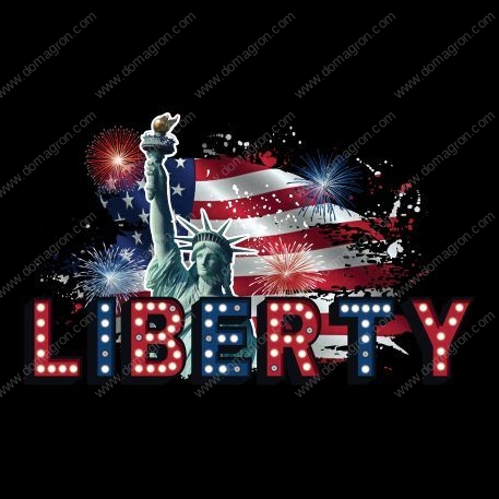 Liberty Flag Patriotic Direct to Film (DTF) Heat Transfer U-862