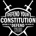 Defend Your Constitution Before It's Too Weak To Defend You Patriotic Metal Photo U-857