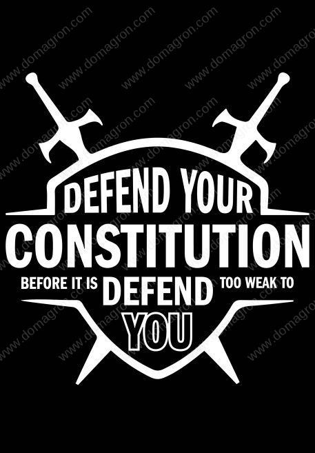 Defend Your Constitution Before It's Too Weak To Defend You Patriotic Metal Photo U-857