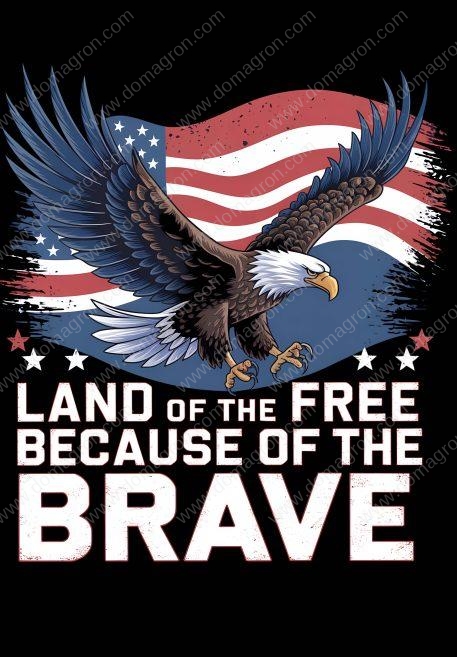 Land Of The Free Because Of The Brave Metal Photo U-873