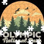 Olympic National Park Puzzle K-884