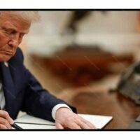 Trump Signing Day 1 Executive Order License Plate