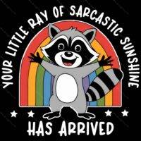 Your Little Ray Of Sarcastic Sunshine Metal Photo S-898
