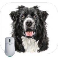 Border Collie Dog Lover Mouse Pad D-909