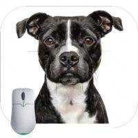 Bull Terrier Dog Lover Mouse Pad D-914