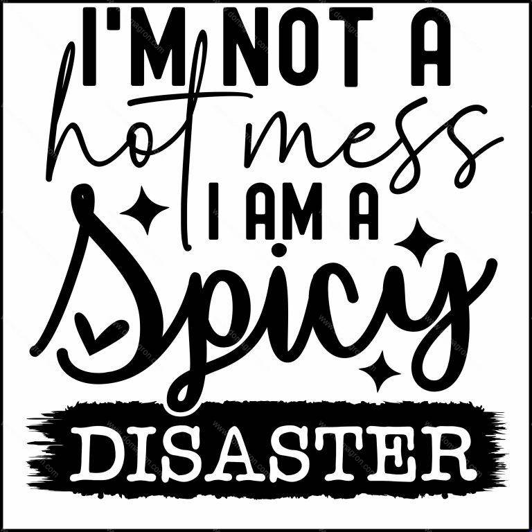 I'm Not A Hot Mess I Am A Spicy Disaster Sarcastic Direct to Film (DTF) Heat Transfer S-928
