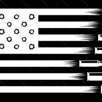 2nd Amendment Flag Metal Photo N-921