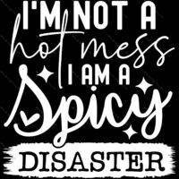 I'm Not A Hot Mess I Am A Spicy Disaster Sarcastic Metal Photo S-928