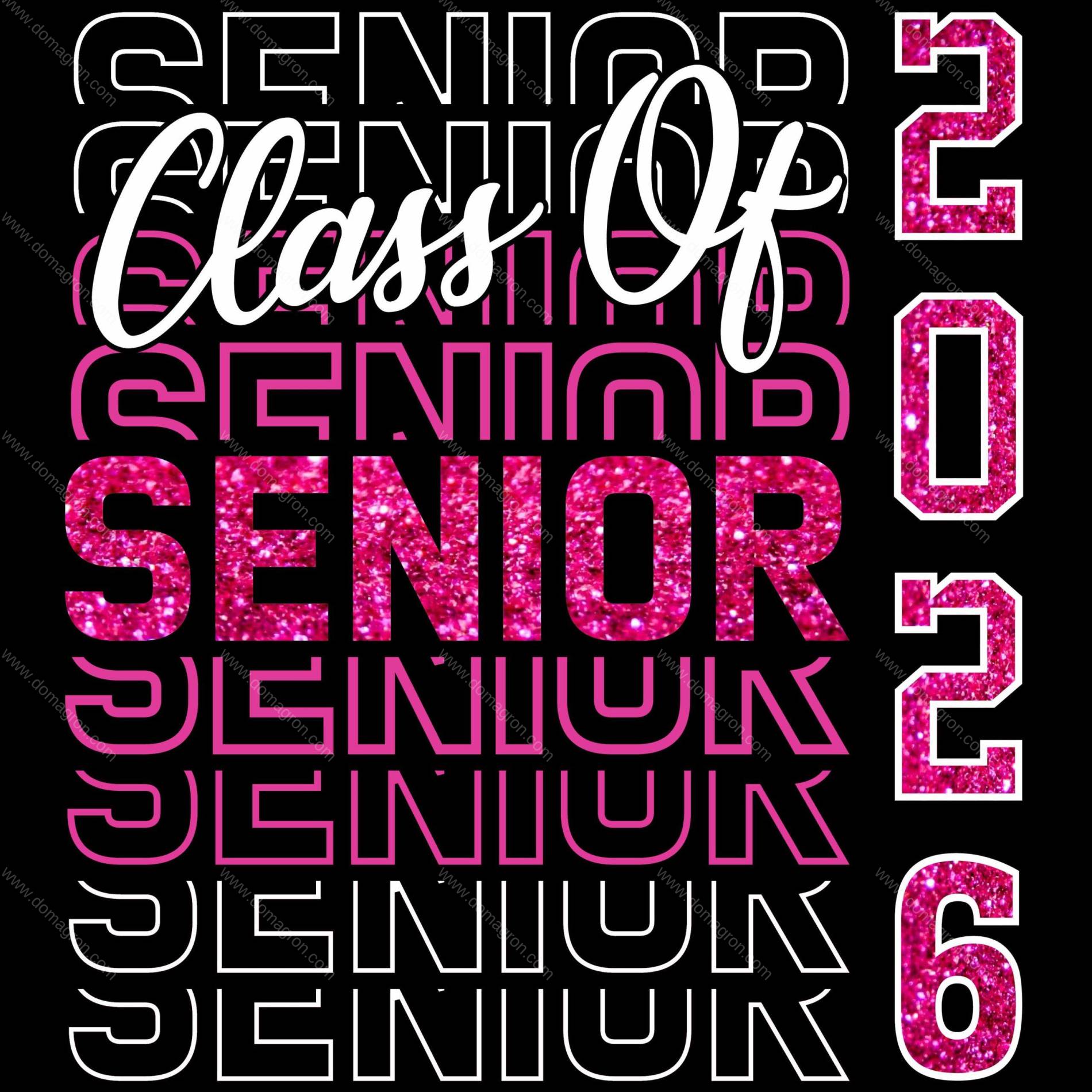 Senior Class Of 2026 Direct to Film (DTF) Heat Transfer F-949