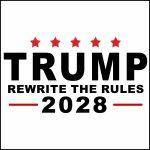 Trump 2028 Rewrite The Rules Satirical Direct to Film (DTF) Heat Transfer T-954