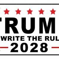 Trump 2028 Rewrite The Rules Satirical License Plate T-954