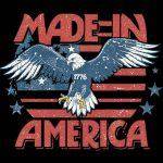 Made In America Patriotic 1776 Eagle  Metal Photo U-982