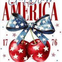 July 4th God Bless America Cherry Metal Photo U-979