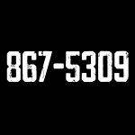 867-5309 Direct to Film (DTF) Heat Transfer S-1004