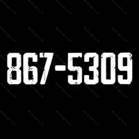 867-5309 Direct to Film (DTF) Heat Transfer S-1004