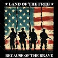 Land Of The Free Because Of The Brave Direct to Film (DTF) Heat Transfer U-998