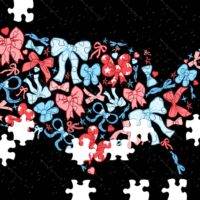 USA Composed Of Bows Jigsaw Puzzle U-1010
