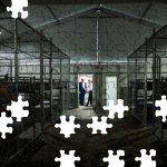 Trump Inspecting Alligator Alcatraz Jigsaw Puzzle