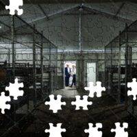 Trump Inspecting Alligator Alcatraz Jigsaw Puzzle