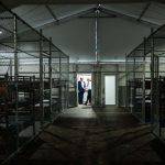 Trump Inspecting Alligator Alcatraz Metal Photo