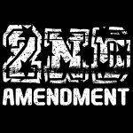 2nd Amendment Direct to Film (DTF) Heat Transfer N-1083