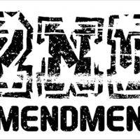 2nd Amendment Metal Photo N-1083