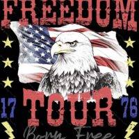 Freedom Tour Patriotic Metal Photo U-1066