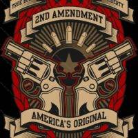 Son Of 2nd Amendment Metal Photo N-1052
