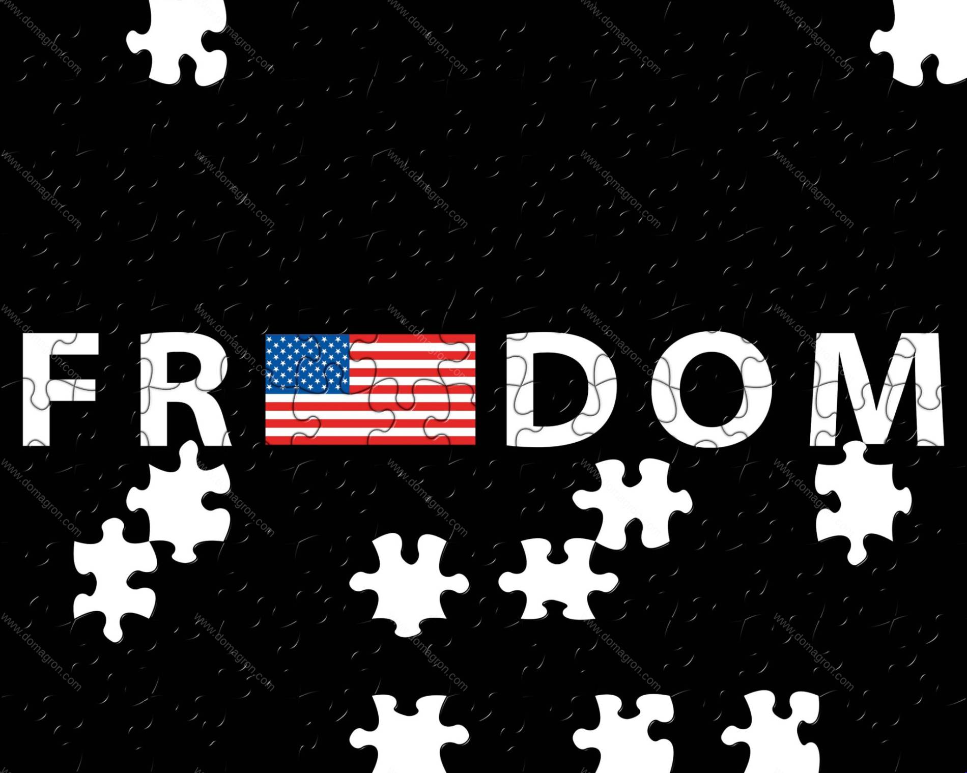 Freedom Color Flag Jigsaw Puzzle U-1101 – DOMAGRON