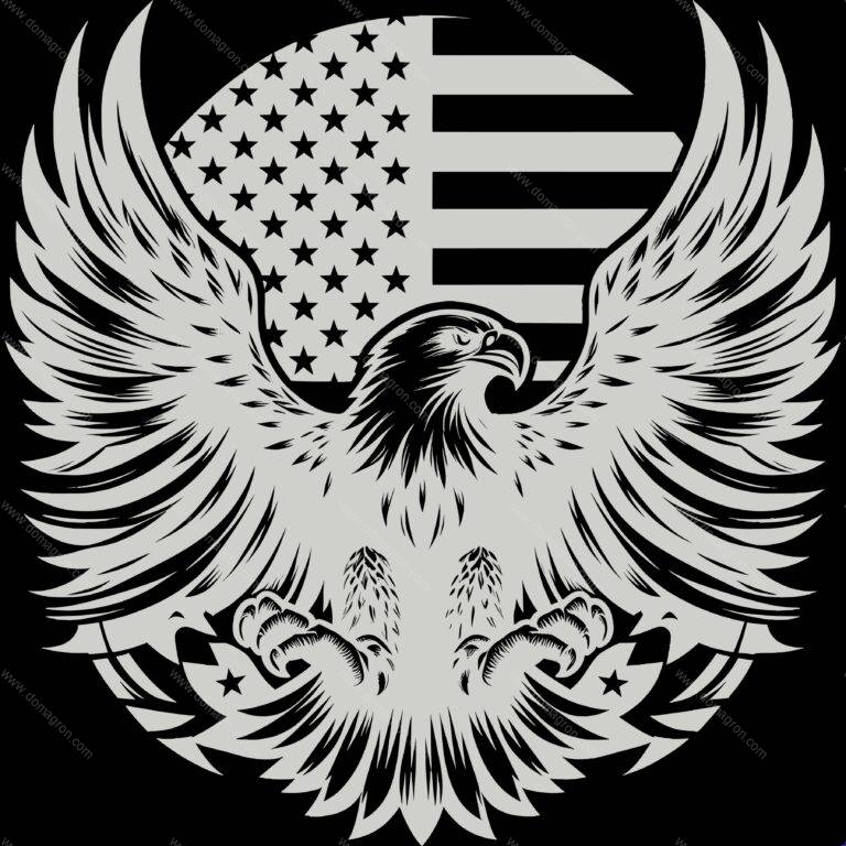 Eagle With American Flag Patriotic Direct to Film (DTF) Heat Transfer U-1172