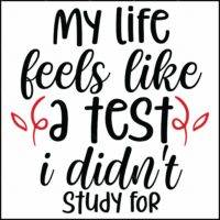 My Life Feels Like A Test That I Didn't Study For Direct to Film (DTF) Heat Transfer S-1185