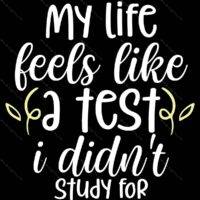 My Life Feels Like A Test That I Didn't Study For Metal Photo S-1185