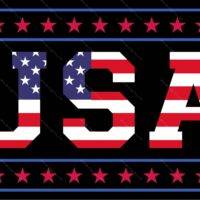 USA Patriotic Metal Photo U-1175