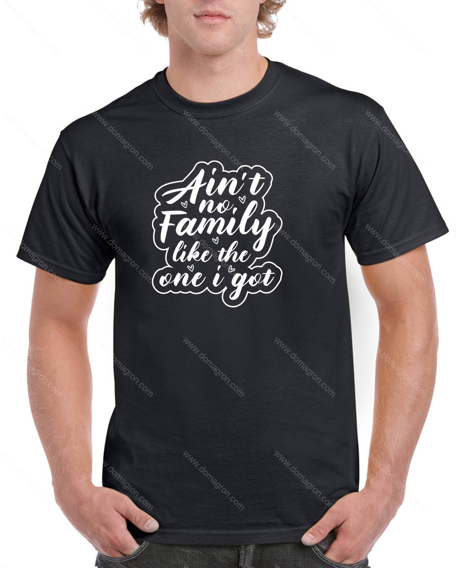 Ain't No Family Like The One I Got Shirt F-1264