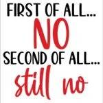 First Of All, No Metal Photo S-1203