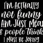 I'm Actually Not Funny Metal Photo S-1209