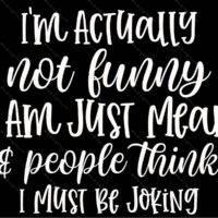 I'm Actually Not Funny Metal Photo S-1209