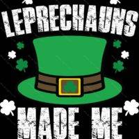 The Leprechauns Made Me Do It Metal Photo H-1256