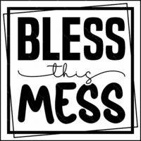 Bless This Mess Direct to Film (DTF) Heat Transfer I-1321