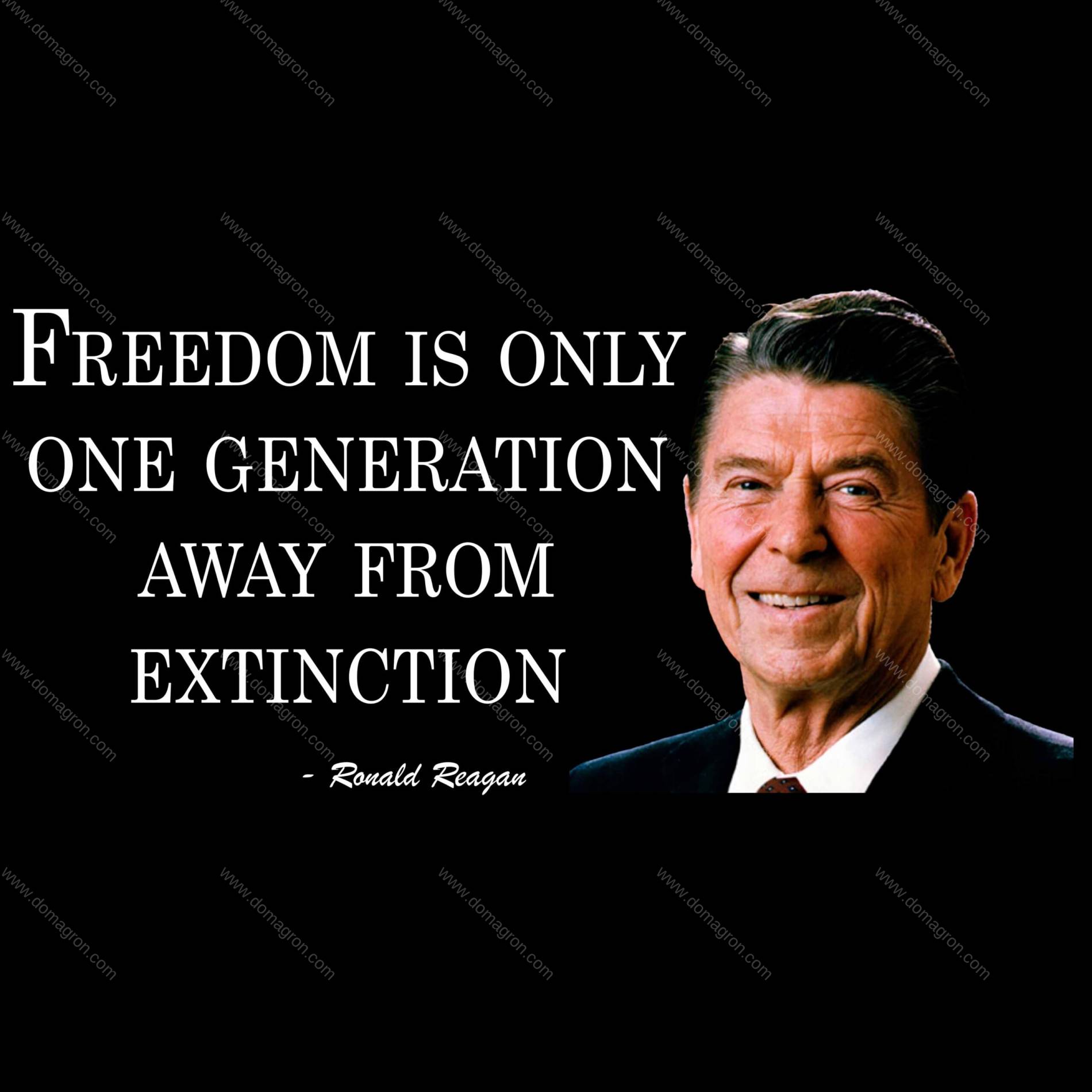 Freedom Is Only One Generation Away From Extinction Ronald Reagan Direct to Film (DTF) Heat Transfer Q-1302