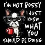 I'm Not Bossy Direct to Film (DTF) Heat Transfer S-1320