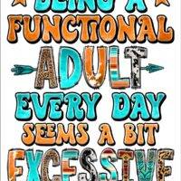 Being A Functional Adult Everyday Sarcastic Metal Photo S-1288