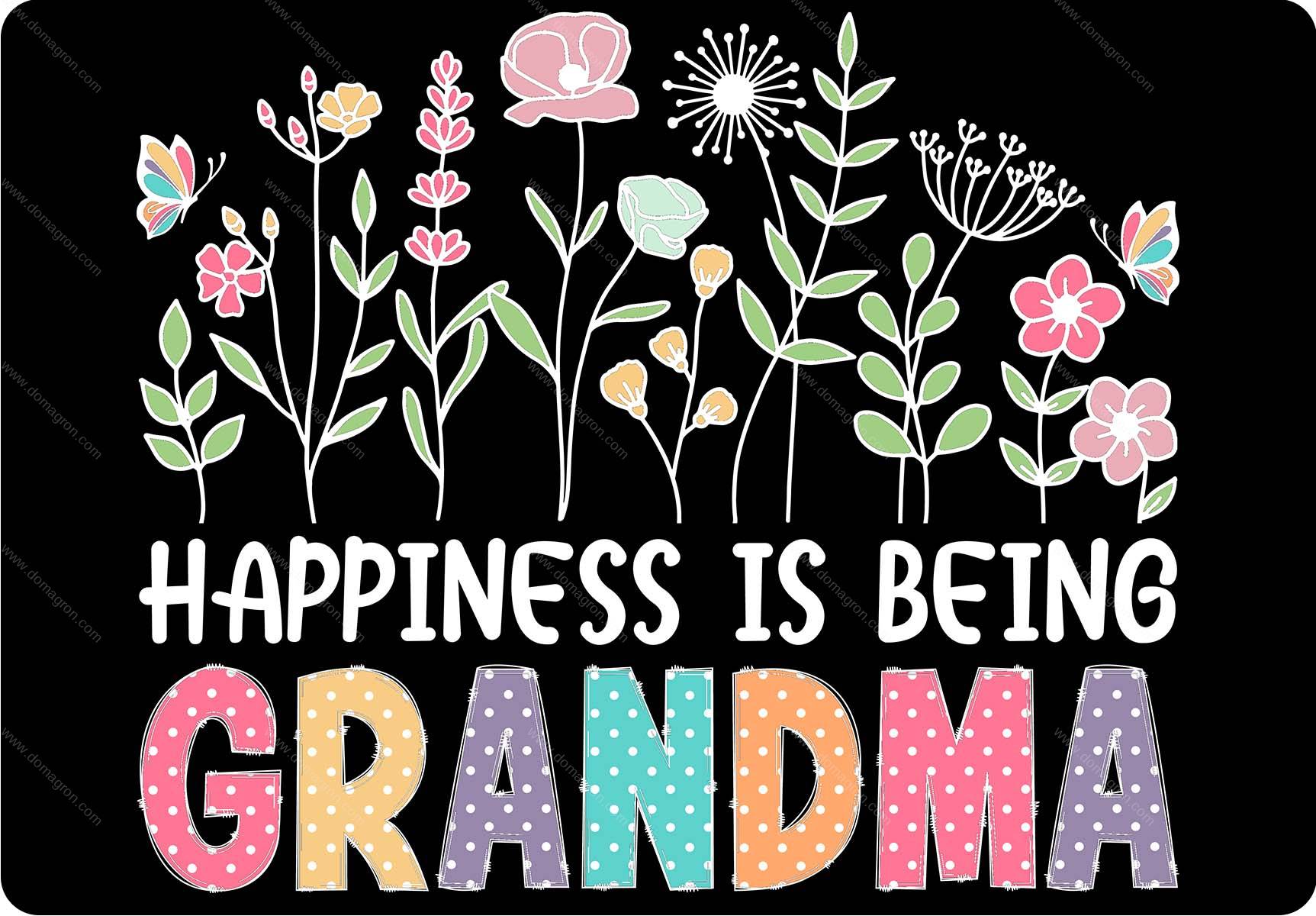 Happiness Is Being Grandma Metal Photo F-1274