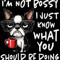 I'm Not Bossy Metal Photo S-1320