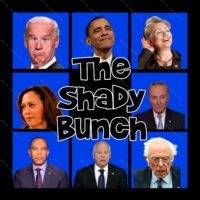 The Shady Bunch - Biden, Clinton, Harris, Jeffries, Obama, Sanders, Schumer, Walz Direct to Film (DTF) Heat Transfer P-1378